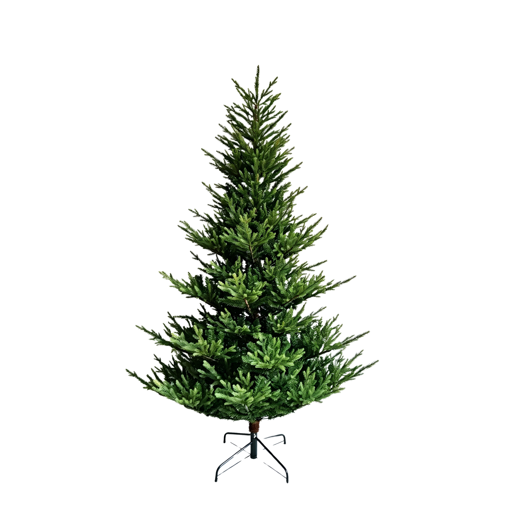 Symons Tree - 7.5 ft.
