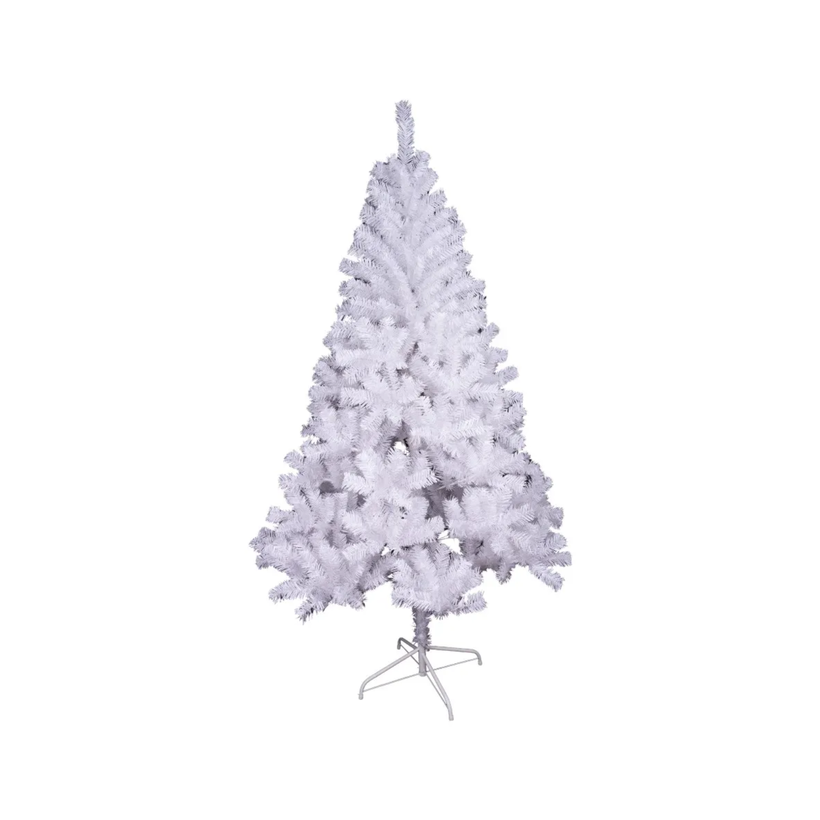 Salem White Tree - 6 ft.