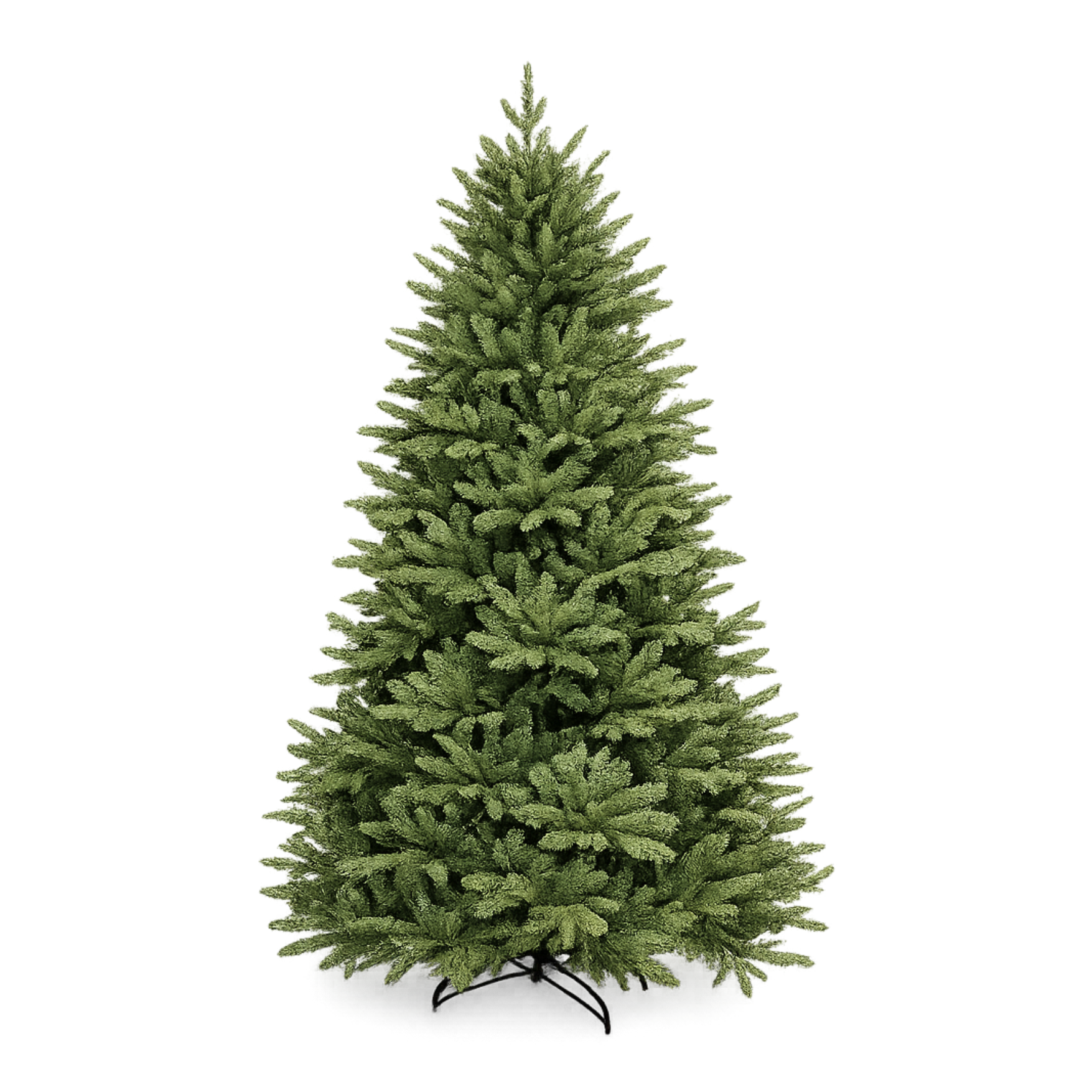 Oakley Tree - 7 ft.