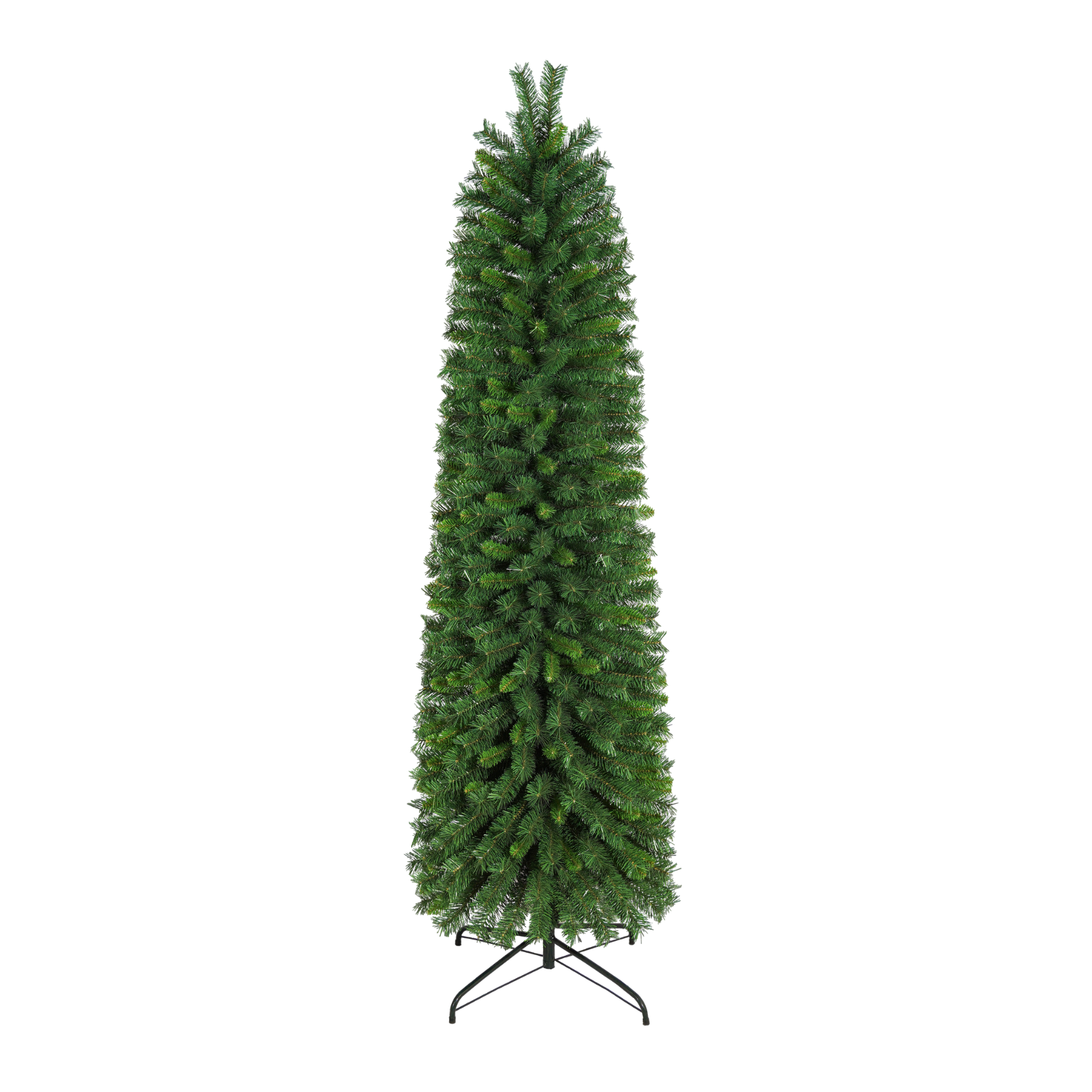 Sonoma Pencil Tree - 7 ft.
