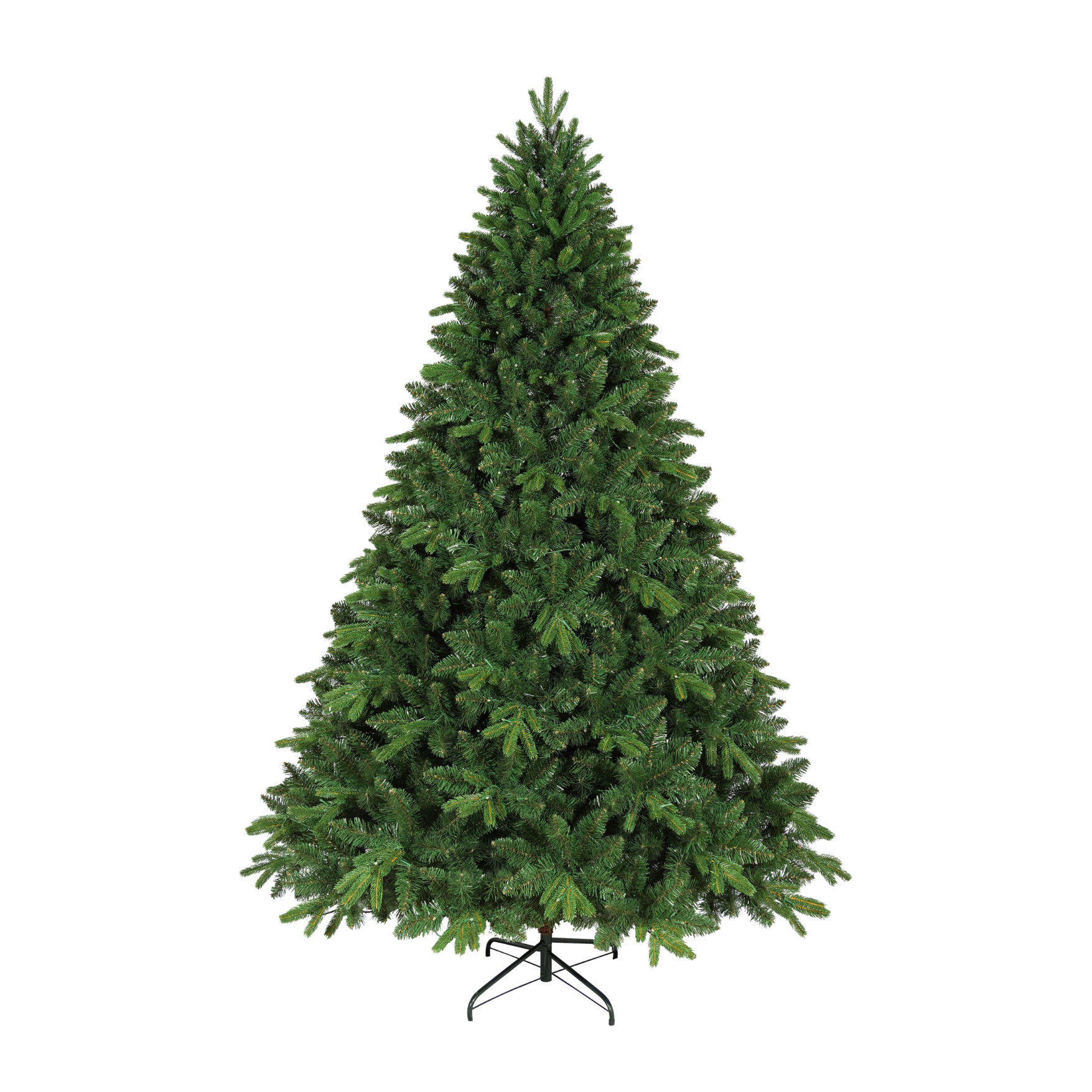 Windsor Tree – 7 ft.