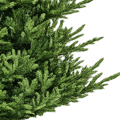 Symons Tree - 8 ft.