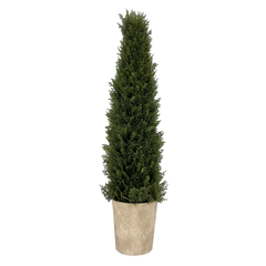 Pine Tree in Pot - 35 in.