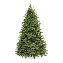 Oakley Tree - 7 ft.