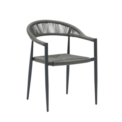 Petruchio Dining Chair - Grey