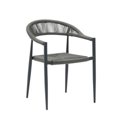 Petruchio Dining Chair - Grey