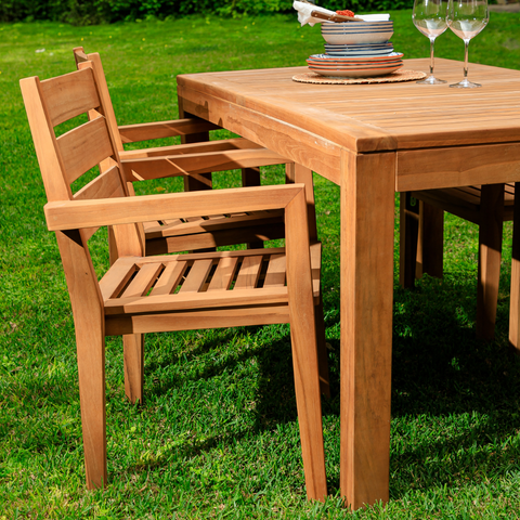 Venis Stacking Dinning Armchair