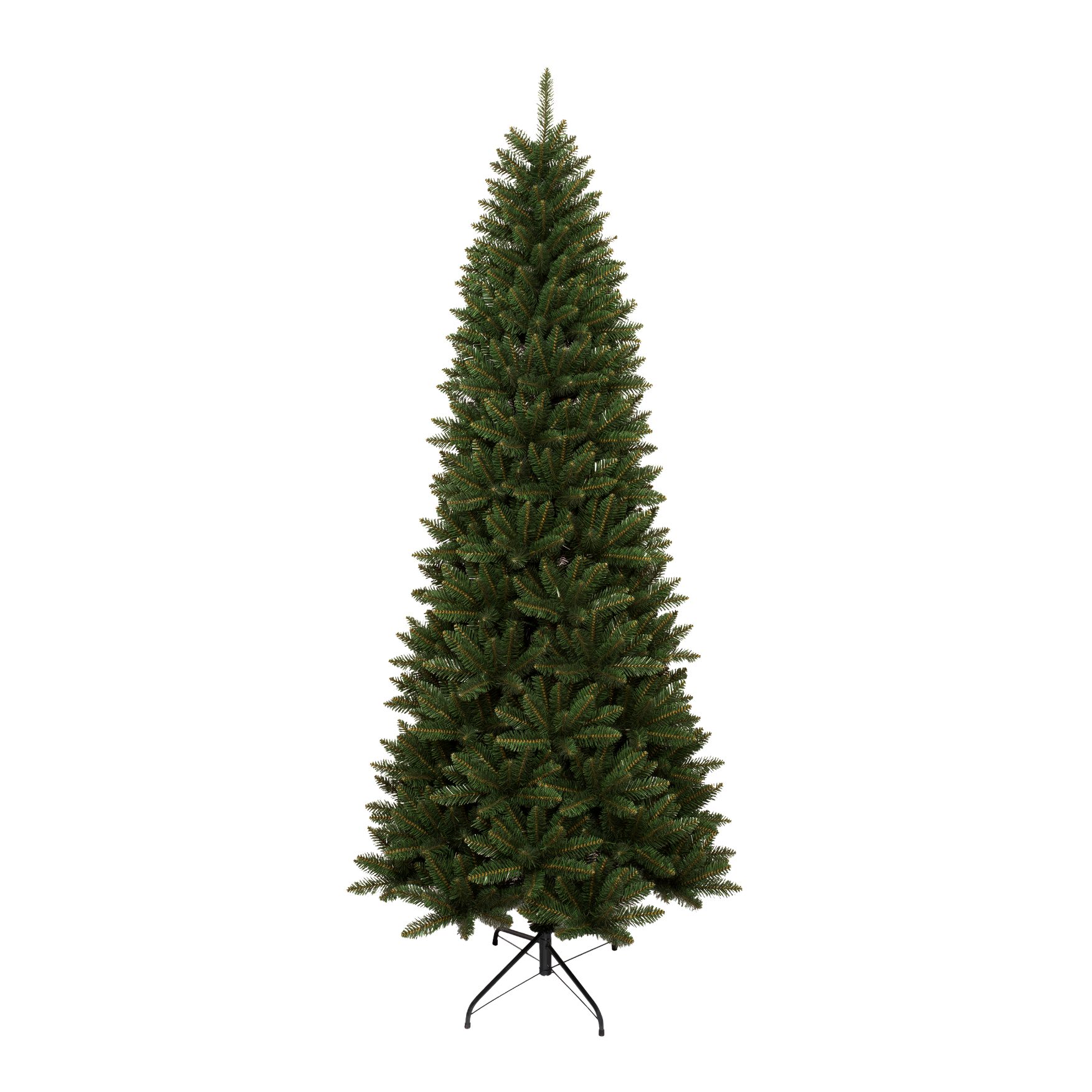 Acacia Slim Tree - 7.5 ft.