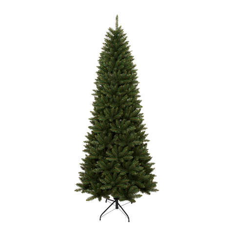 Acacia Slim Tree - 7.5 ft.