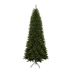 Acacia Slim Tree - 7.5 ft.