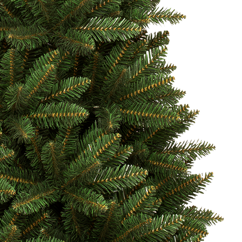 Acacia Slim Tree - 7.5 ft.