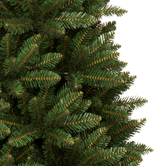 Acacia Slim Tree - 7.5 ft.