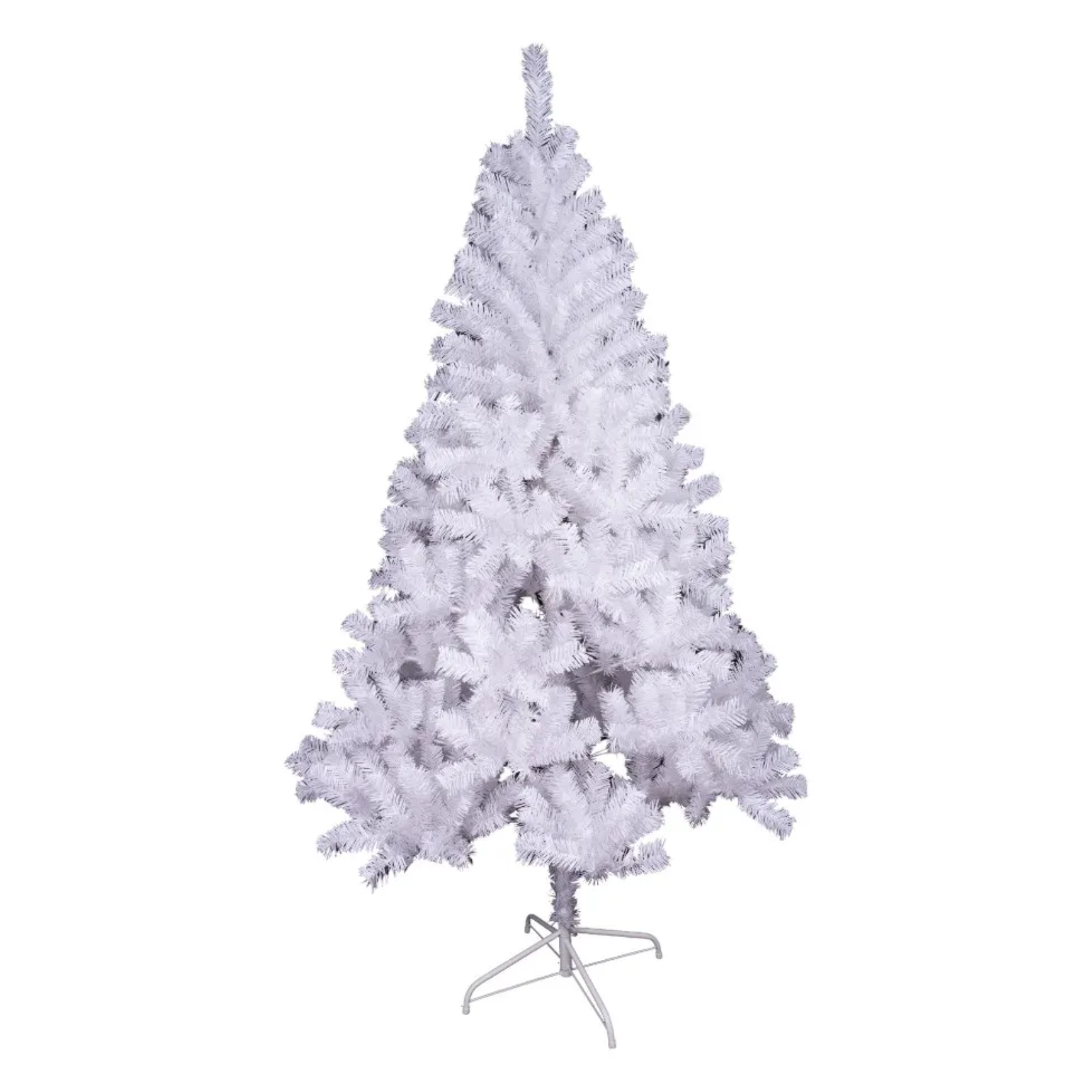 Salem White Tree - 7.5 ft.