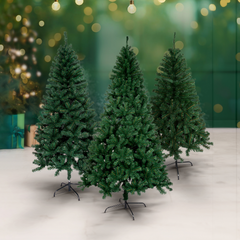 Evergreen Tree - 6 ft.