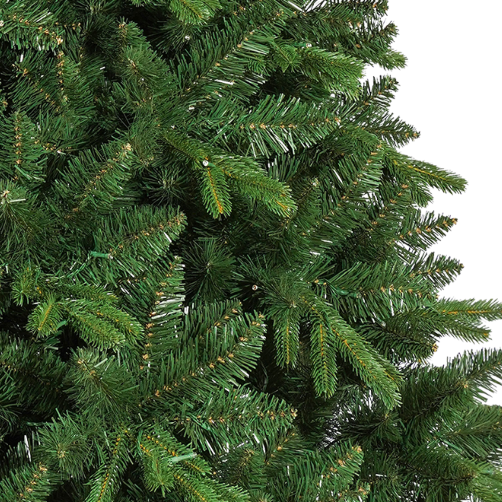 Windsor Tree – 7 ft.