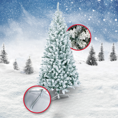 Fraser Tree - 7 ft.