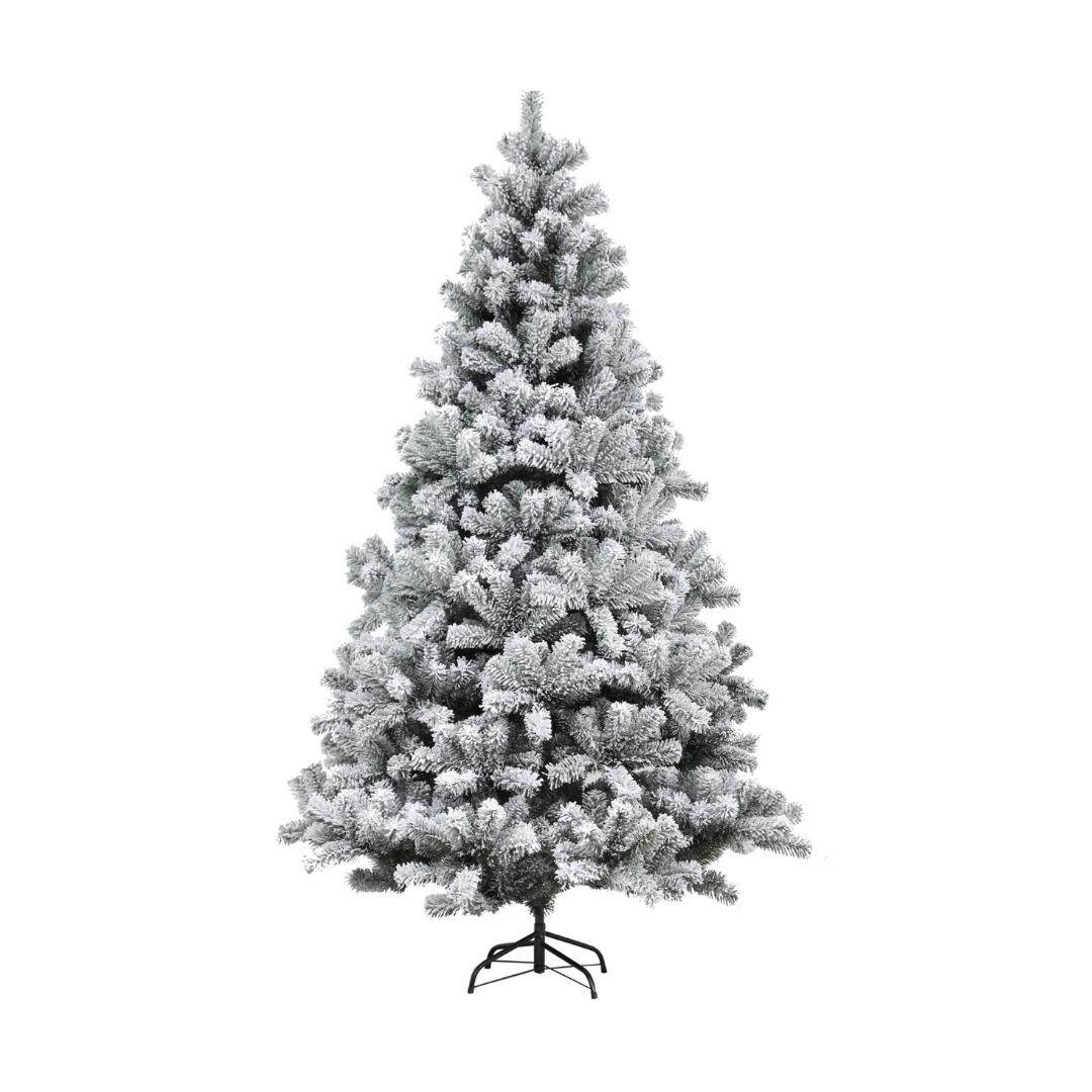 Freemont Tree - 7 ft.