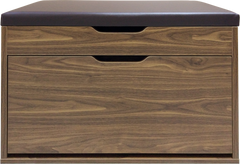 SHOE CABINET