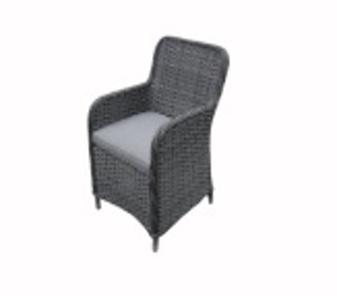 DALIA DINING ARMCHAIR 2 (LT GREY)
