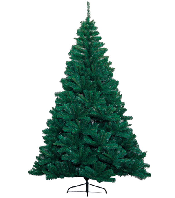 CANADIAN PINE CHRISTMAS (8FT)