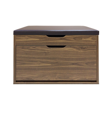 SHOE CABINET
