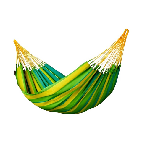 Hammock